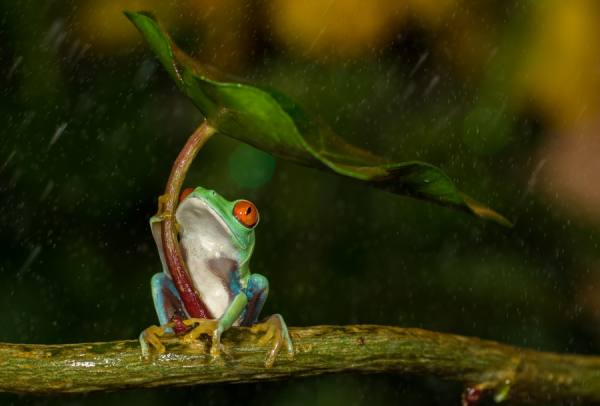 Photograph Kutub Uddin Ohh Noo It Is Raining on One Eyeland